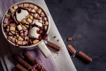Choco milk with marshmallows and chocolate biscuits. Traditional winter sweets