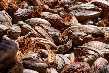 coconut waste in brown