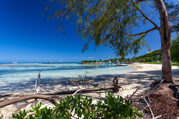 wild beach at la dique island seychelles