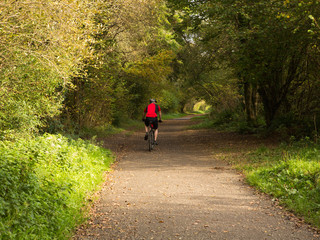 Cyclist on the Camel Trail, Cornwall