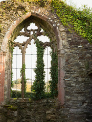 Window overgrown with ivy in the ruined church at Bodmin, Cornwall