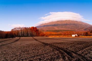 Farmland at Foot Mt, Yotei in Autumn