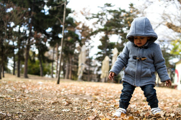 boy in autumn park