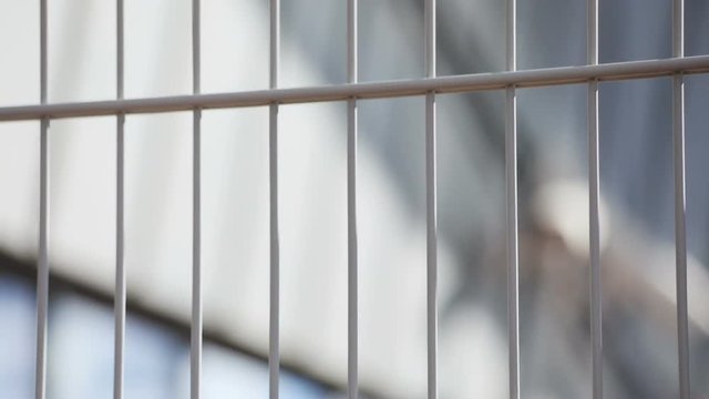 Silhouette of white surveillance camera. Metal grid in forefront. Concept, safety, idea. Prison. Outdoors.