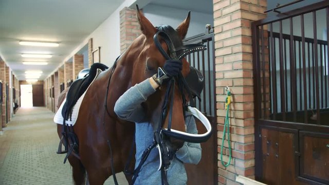 Young woman tightening bridle on horse.
