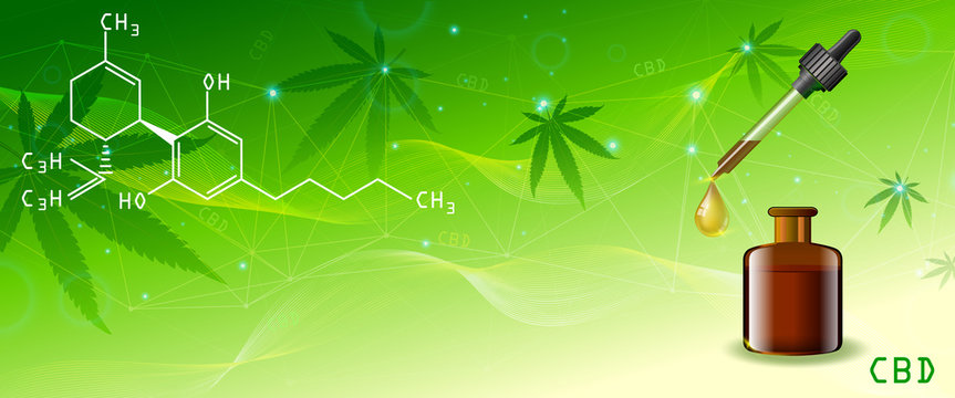 Vector green cannabis oil. CBD Oil. Marijuana leaf label. panorama Graphic, hemp.