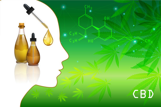 Marijuana plant and cannabis oil bottles vector.