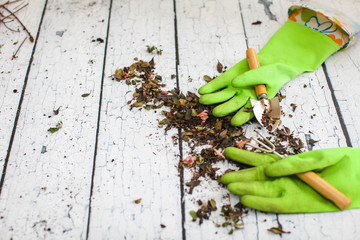 Rubber green safety gloves hand shovel and gardening rake on wooden board agriculture concept.