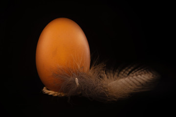 Obraz premium brown egg with bird feather on black background