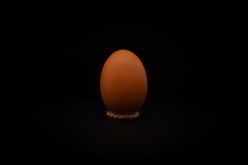 brown egg on black background