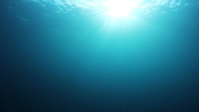 Underwater sunlight in ocean video clip 