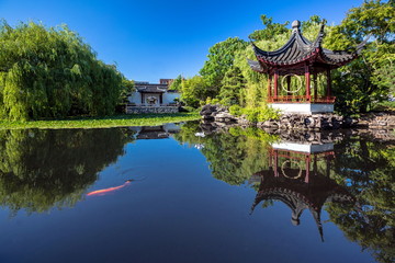 Fototapeta The Dr. Sun Yat-Sen Classical Chinese Garden is located in Vancouver's Chinatown district  Created in the style that is typical of the Ming Dynasty.  Trees, flowers and plants  obraz