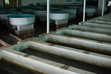 Tanks and incubators on fish farm