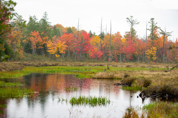 An Adirondack Mountain pond on a rainy autumn day.