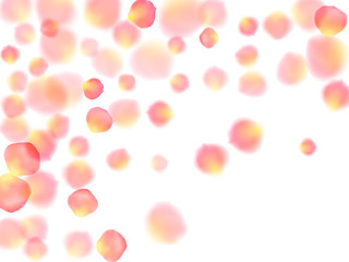 Rose gold petals flying cosmetics vector background.