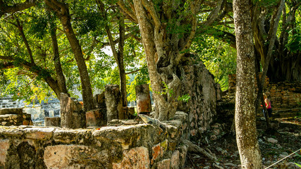 Fototapeta premium The ancient city of El Meca. The city is located in the vicinity of Cancun. Of course, the city is badly collapsed, but the territory of the palace and the pyramid remained untouched by time.
