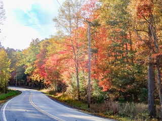 Curved two lane country road thru the  forest in fall colors