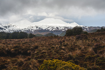 Tongariro National Park, Round the Mountain Track, New Zealand, North Island
