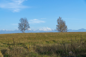 Obraz premium Biei in autumn, Hokkaido, Japan