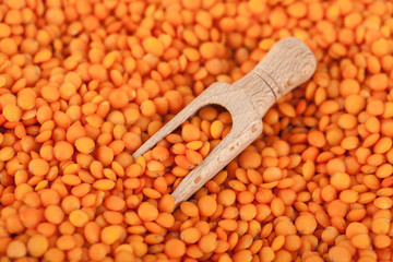 Red lentils in the wooden spoon, healthy food