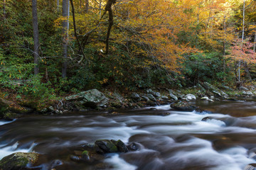 Middle Prong Little River surrounded by fall foliage in the  Great Smoky Mountains National Park, Tennessee