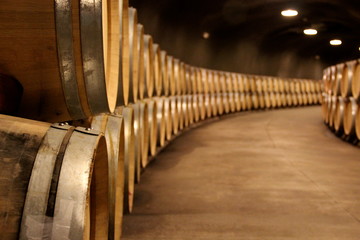 pile of wine barrels in a wine cellar
