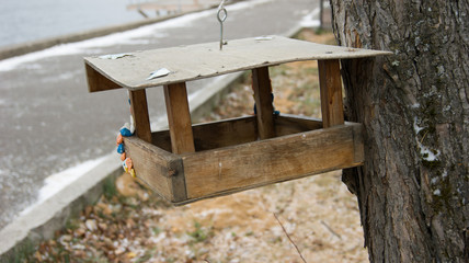 to feed birds in winter to the feeders
