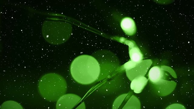 Video composition with snow over blurry green  lights