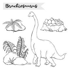 Vector Brachiosaurus with plant and stone isolated