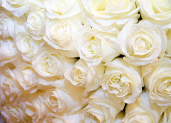 Obraz na płótnie Canvas Bouquet of white roses