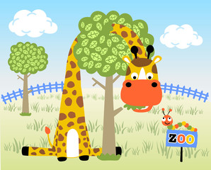 Obraz na płótnie Canvas Funny giraffe in the zoo
