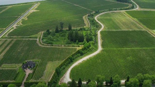 Aerial view Canadian wine producing vineyards along the Fraser Valley near Vancouver British Columbia Canada 