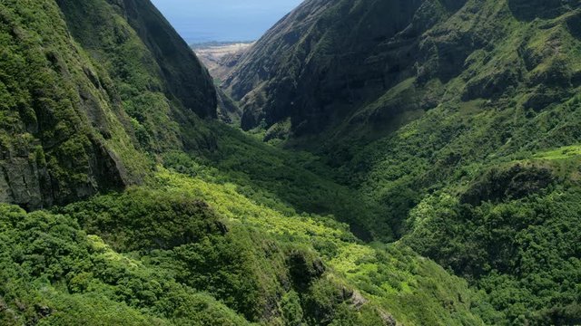 Aerial view of volcanic cliffs valley rainforest Maui