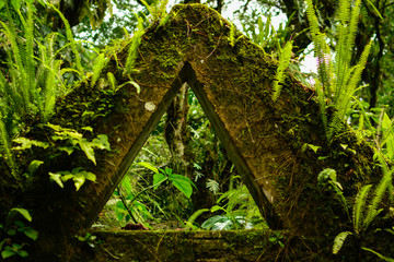 Xilitla Garden take 2