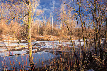 Spring landscape river, forest and clouds on a blue sky