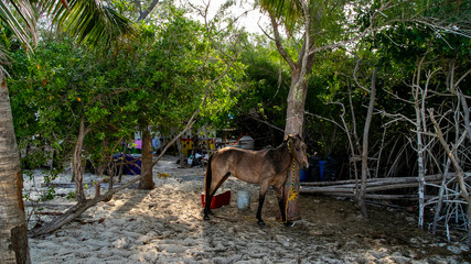  Beach Women or a white island. National Park near Cancun. Here you can rehearse each photographer....