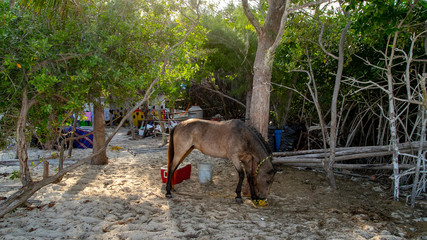  Beach Women or a white island. National Park near Cancun. Here you can rehearse each photographer....