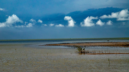  Beach Women or a white island. National Park near Cancun. Here you can rehearse each photographer. Birds, condors, pelicans, herons. There are many birds and the colors of nature are simply amazing.