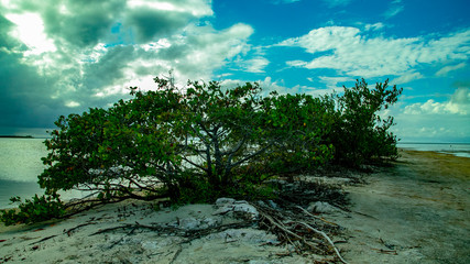  Beach Women or a white island. National Park near Cancun. Here you can rehearse each photographer....