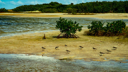  Beach Women or a white island. National Park near Cancun. Here you can rehearse each photographer....