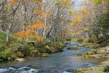 Nikko trekking route in autumn, Japan