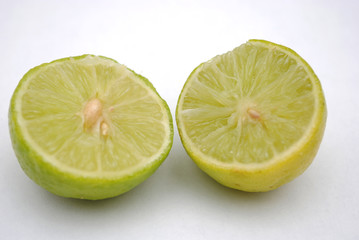 limon agrio con semilla