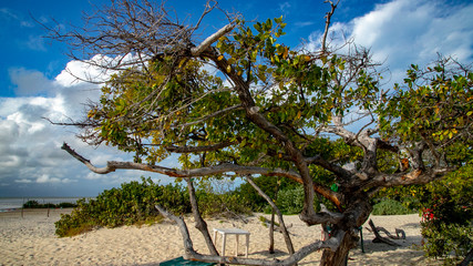  Beach Women or a white island. National Park near Cancun. Here you can rehearse each photographer....