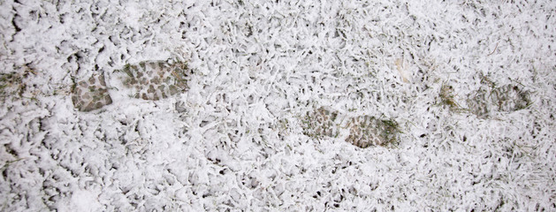 Footprints in the fresh snow