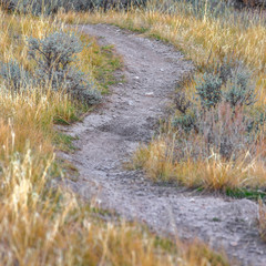 Curving hiking trail amid grasses in Utah Valley