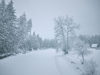 beautiful winter scene