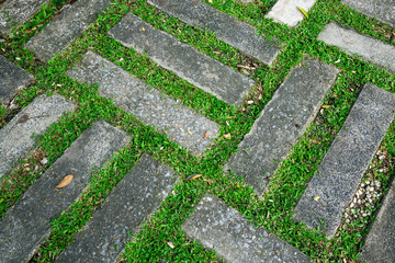  lawn  decorated with stoneware in the park.