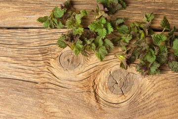 Young nettle leaves on a rustic background, stinging nettles