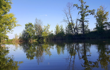 Fototapeta na wymiar The forest lake in sunny day