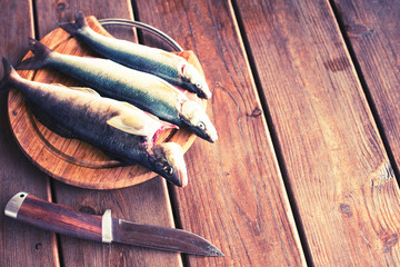 The catch of fresh sea fish lies on a cutting Board on a wooden table in the kitchen Selective...